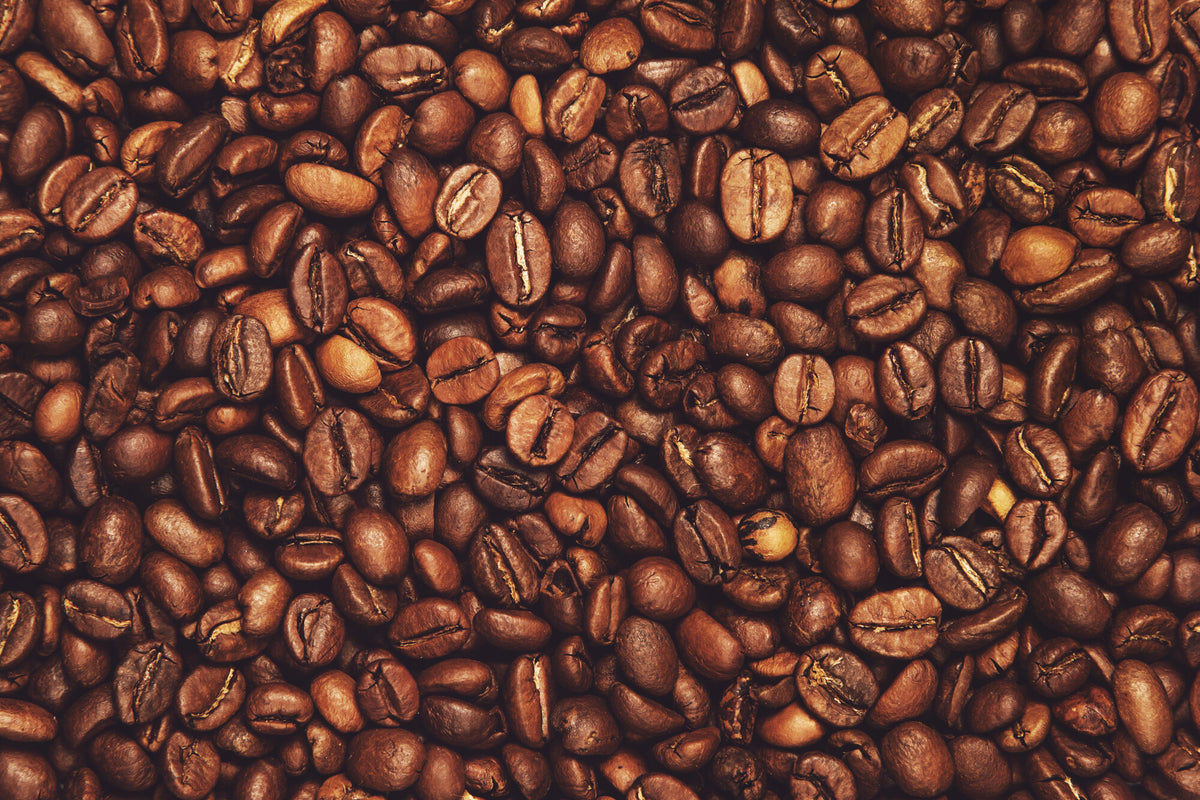 Where Do Coffee Beans Come From? modcup coffee