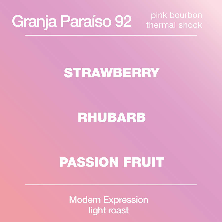 Granja Paraíso 92 Pink Bourbon – modcup coffee