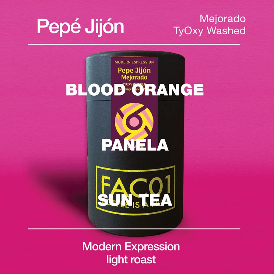 Finca Soledad Washed Typica Mejorado TyOxy – modcup coffee
