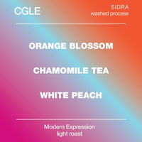 CGLE Sidra Washed