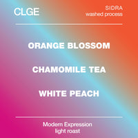 CGLE Sidra Washed