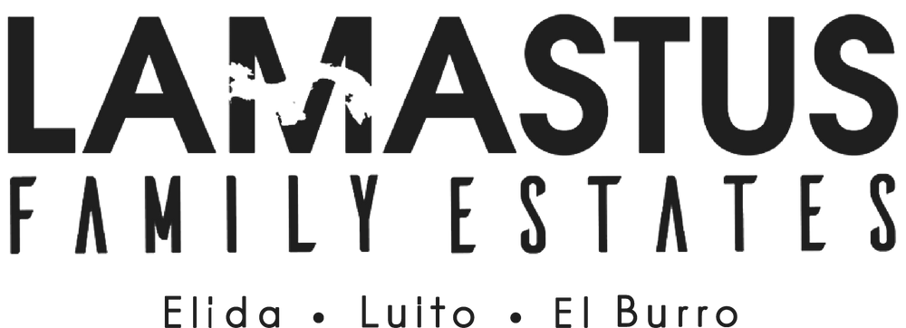 Specialty coffee beans, direct trade from La Mastus Family Estates