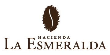 Specialty coffee beans, direct trade from La Esmeralda