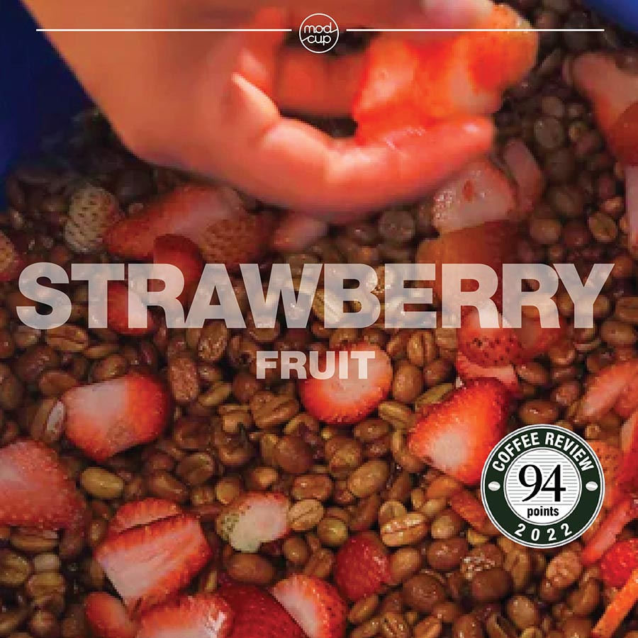 modcup - Colombia Fruit Maceration Series - Star Berry 